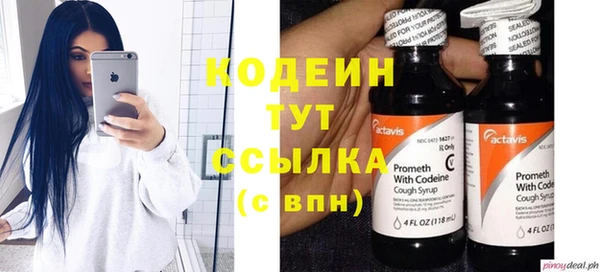 шишки Магас