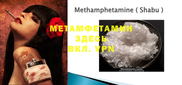 шишки Магас
