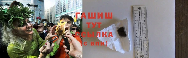 шишки Магас