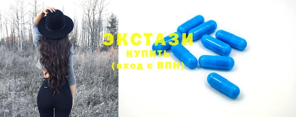шишки Магас