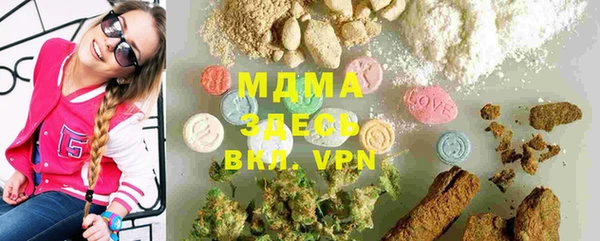 шишки Магас