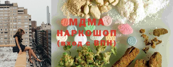 шишки Магас