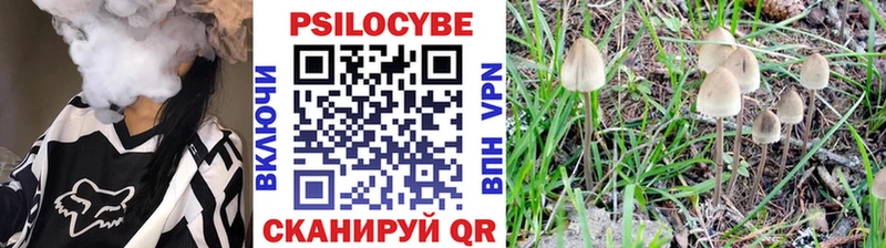 Псилоцибиновые грибы MAGIC MUSHROOMS  Вихоревка 